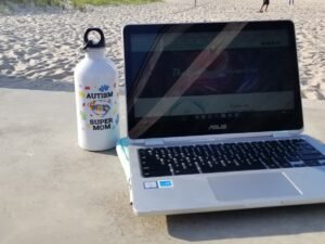 Executive Function Audit